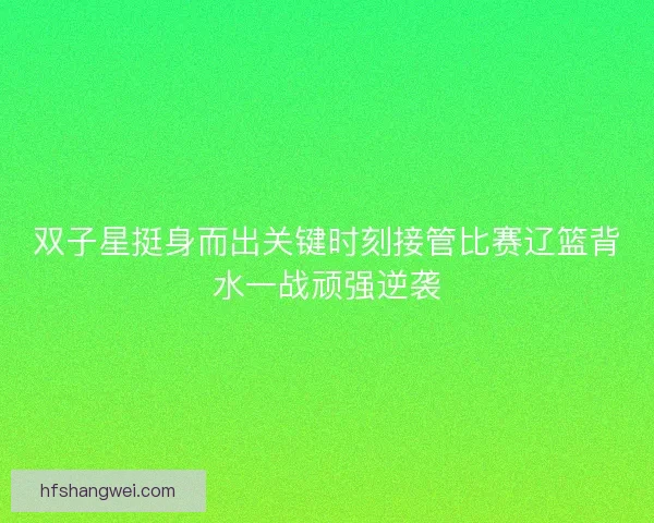 双子星挺身而出关键时刻接管比赛辽篮背水一战顽强逆袭