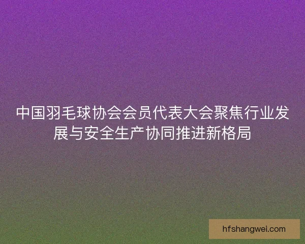 中国羽毛球协会会员代表大会聚焦行业发展与安全生产协同推进新格局