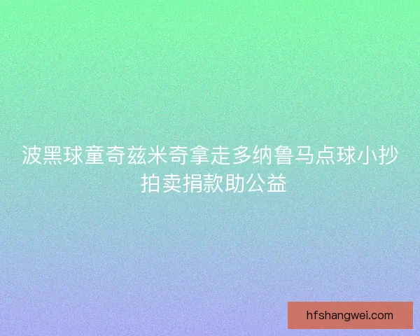 波黑球童奇兹米奇拿走多纳鲁马点球小抄 拍卖捐款助公益